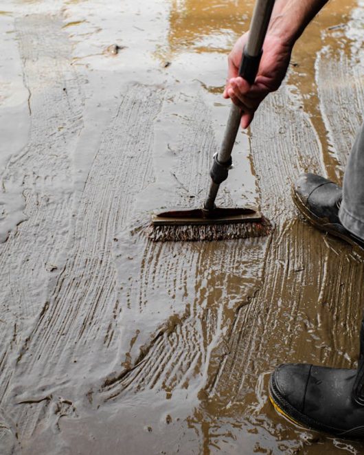 pexels-ian-panelo-5777344 (1)